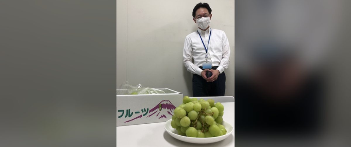 REO MARUYAMA LAB